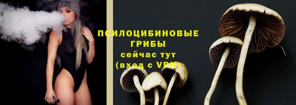 apvp Алексин
