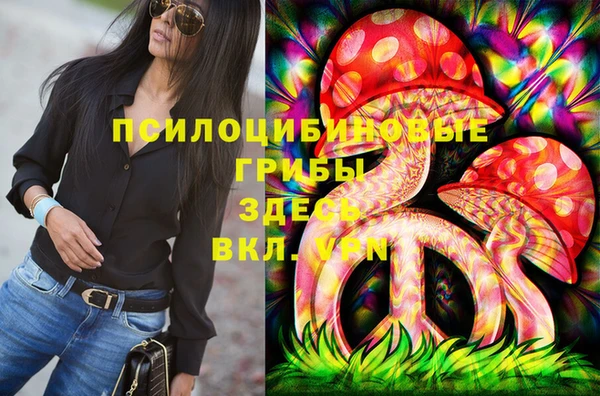 apvp Алексин