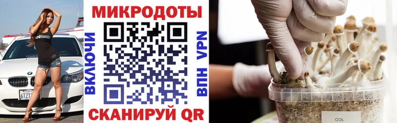 Псилоцибиновые грибы мухоморы  купить  сайты  Кизел 