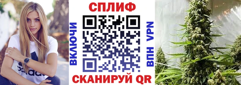 Конопля OG Kush  МЕГА как войти  Кизел 